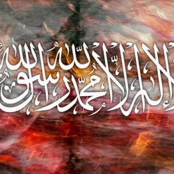 Declaration