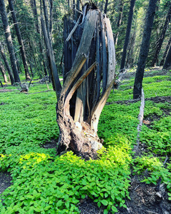 260FB939 92DD 4DA0 80FB 62BD3C971944