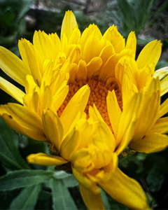 F17B6D9A 86D4 49AB 80E9 987CD2F52091