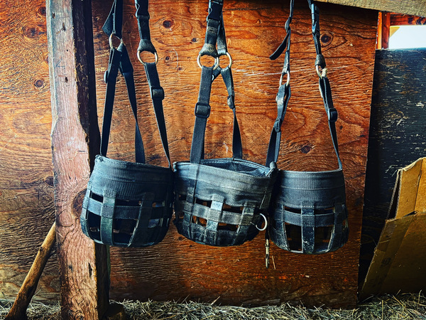 948F24E4 329A 497F AC13 5F9D597A5C96 Print