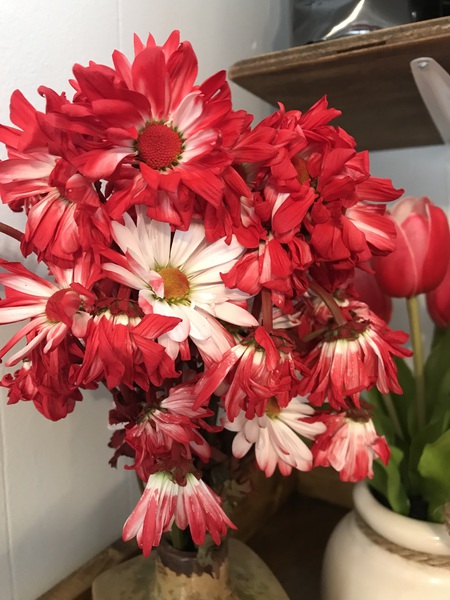 Red Daisy Print