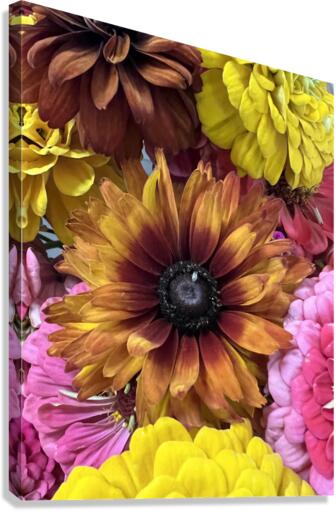 IMG 1672 Canvas Print