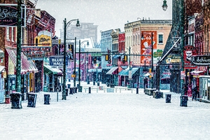 Snowy Beale