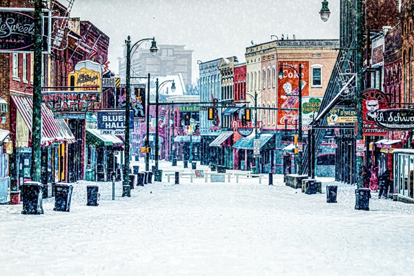 Snowy Beale Print