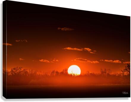 Red Rise Canvas Print