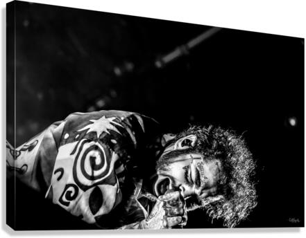 Paranoid Canvas Print