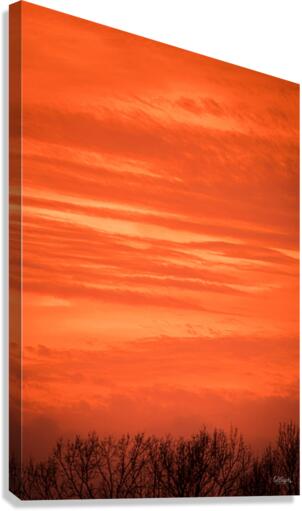 Orange Eads Canvas Print