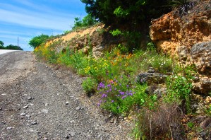 Uphill
