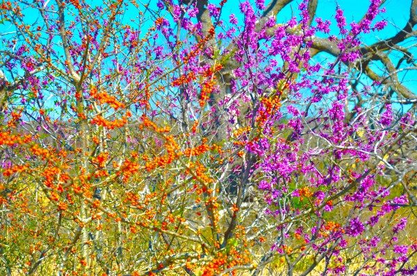 Spring and Autumn Print