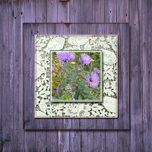 Asters on Barn Board Purple 