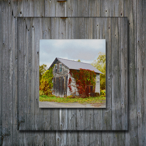 Old Shed on Barn Wood