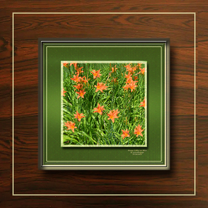 Orange Lillies on Olive 
