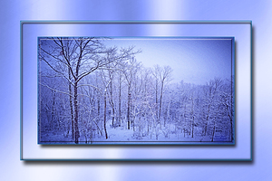 Winter Blues DF 18 x 12