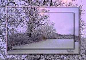 January Morning TFS 20 x 14