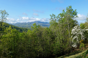 Summer Mountain Morning OS