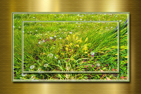 Wildflowers Var 2  Print