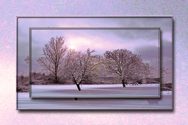 January Trees Version 2 DF Print