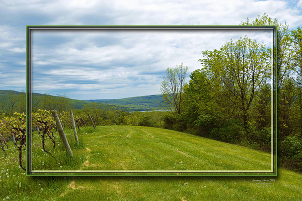 Spring View  Print