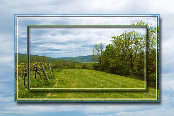 Spring View Var 2  Print