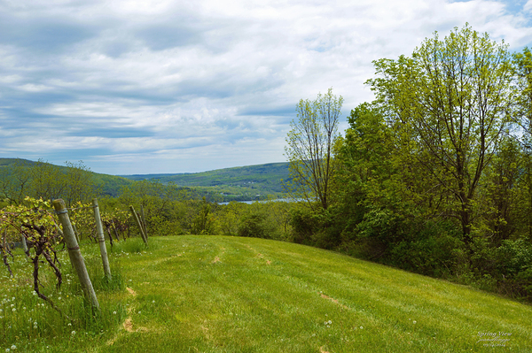 Spring View OSS Print