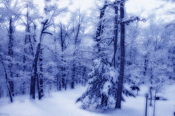 Winter Glow OS Print