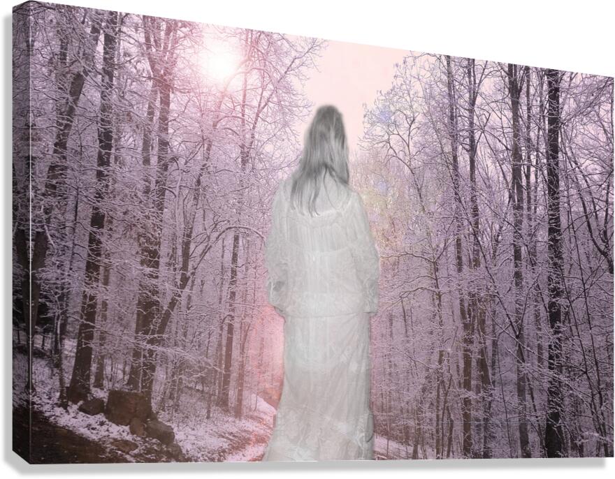 Gypsy Winter Road OS Canvas Print