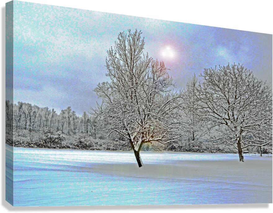 Two Winter Trees Version 2 OS Canvas Print