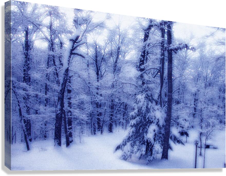 Winter Glow OS Canvas Print