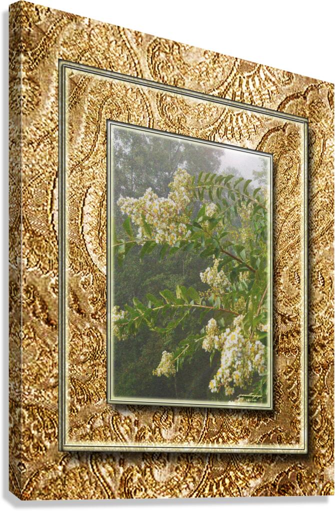 Crepe Myrtle Var 4  Canvas Print