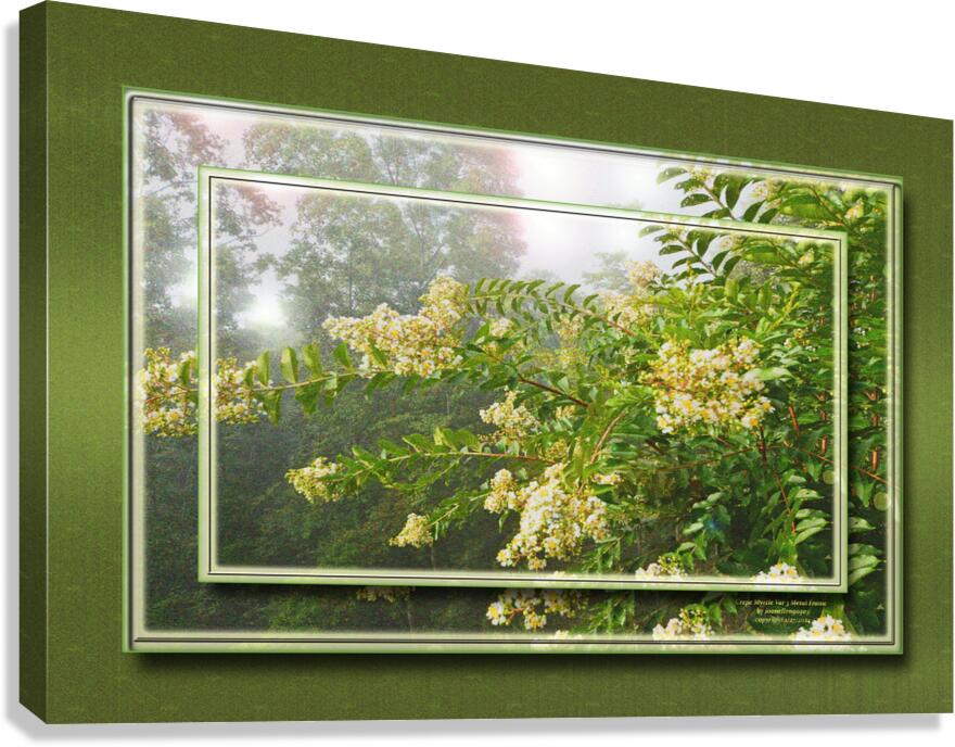 Crepe Myrtle Var 3 Canvas Print