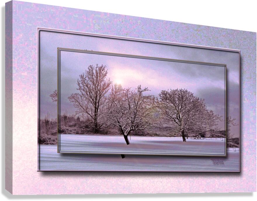 January Trees Version 2 DF Canvas Print