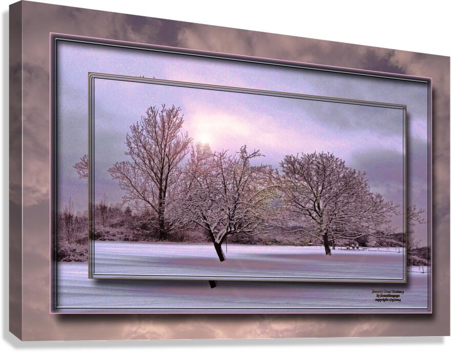 January Trees Version 3 DF Canvas Print