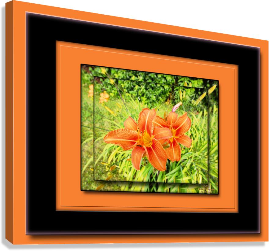 Lilly DF Canvas Print