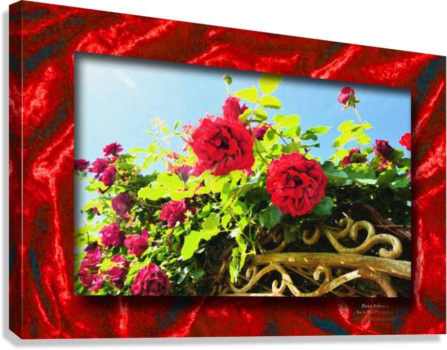 Rose Arbor EF Canvas Print