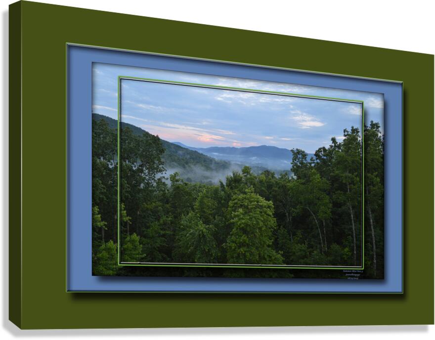 Summer Mist Ver 3 Canvas Print