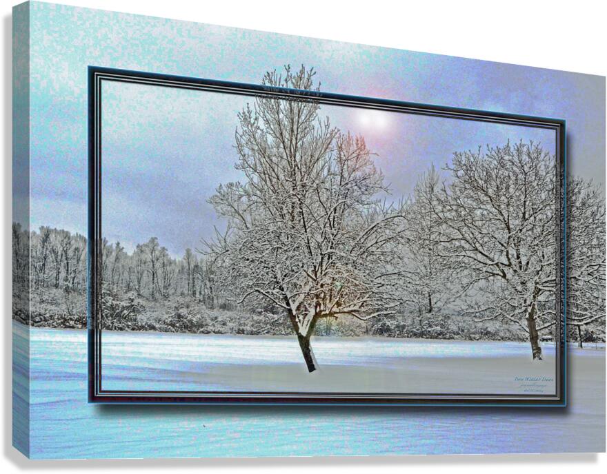 Two Winter Trees Version 2  Canvas Print