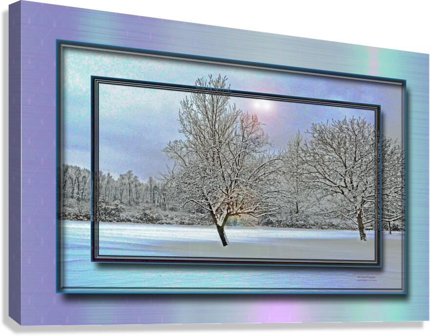 Two Winter Trees Version 2 DF Canvas Print