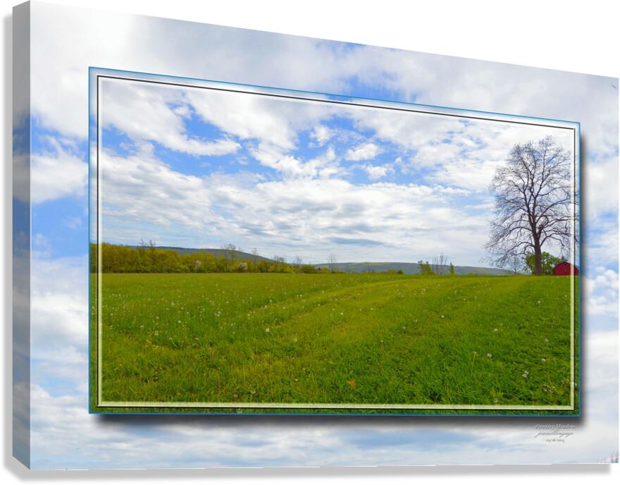 Country Meadow Ver 2  Canvas Print