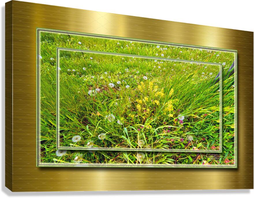 Wildflowers Var 2  Canvas Print