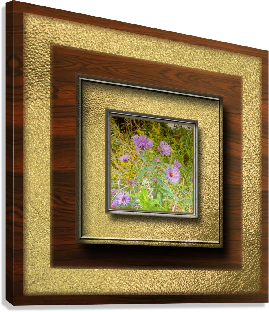 Asters Var 3  Canvas Print