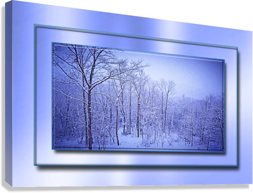 Winter Blues DF Canvas Print