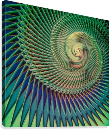Composition Logarithmique Canvas Print