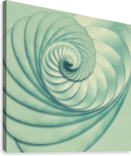 Composition in Celadon Canvas Print