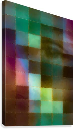 Lily Canvas Print