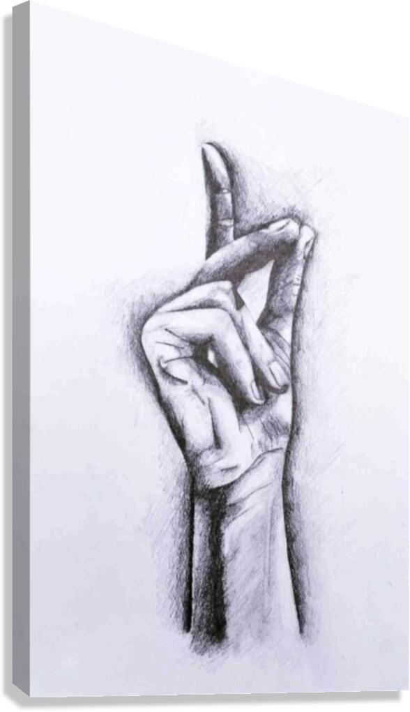 The Hand Canvas Print