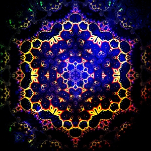 Holographic Universe