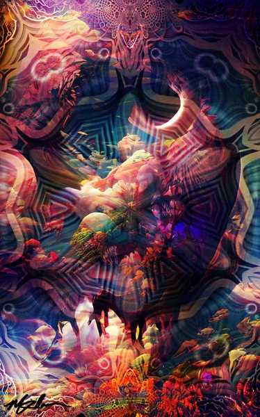 In Bloom by Kollmann Artworx