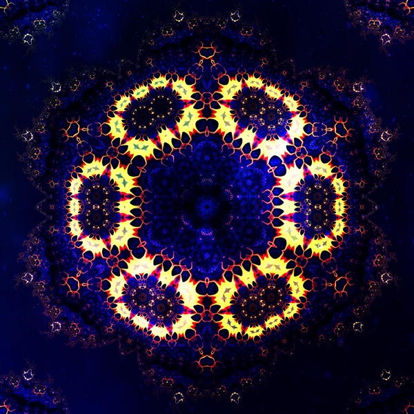 FLowering Fractals Print