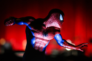 Nerd Cave Photography - Profile A La Spidey 