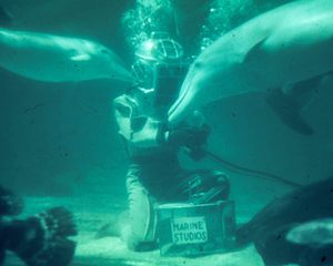 Found and Restored - Hello Friends  - Kodachrome